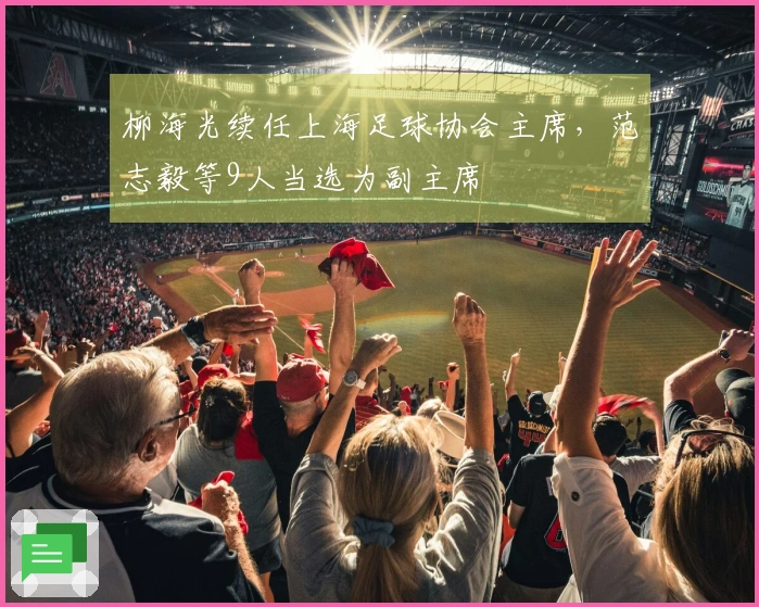 柳海光续任上海足球协会主席，范志毅等9人当选为副主席